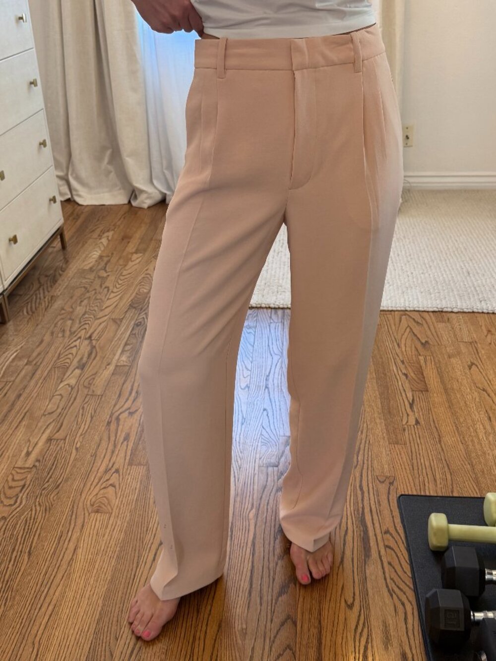 Wilfred light pink dress pants in size 10